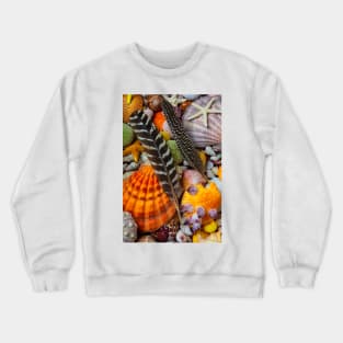 Feathers And Seashells Crewneck Sweatshirt